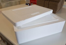Plastic box to keep the boar semen doses at 17 degrees